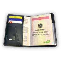 Set passaporto - immagine 2