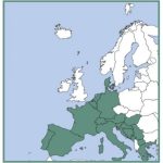 VFR Manual "CHARLIE" (Europa Centrale senza UK) primo abbonamento