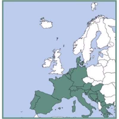 VFR Manual "CHARLIE" (Europa Centrale senza UK) primo abbonamento