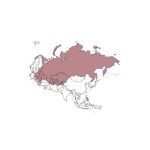 IFR digitale Asia (EEU)