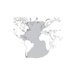 IFR digitale Oceano Atlantico (ATLSM)