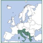 VFR Manual "HOTEL" primo abbonamento