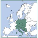 VFR Manual "OSCAR" primo abbonamento