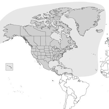 Charting North America