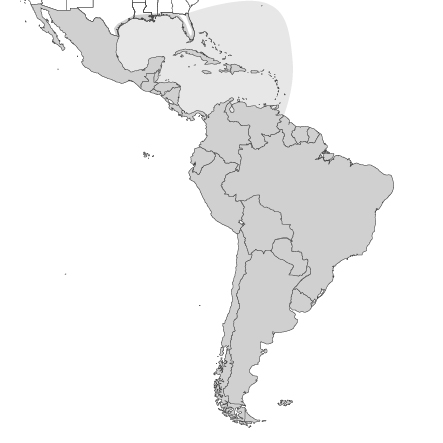 Charting Latin and South America