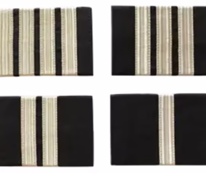 gradi pilota argento